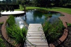 creating-a-beautiful-garden-pond-create-a-water-garden-3-683