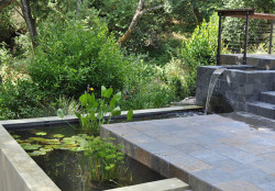 modern-garden-water-feature-inspiration-for-your-home