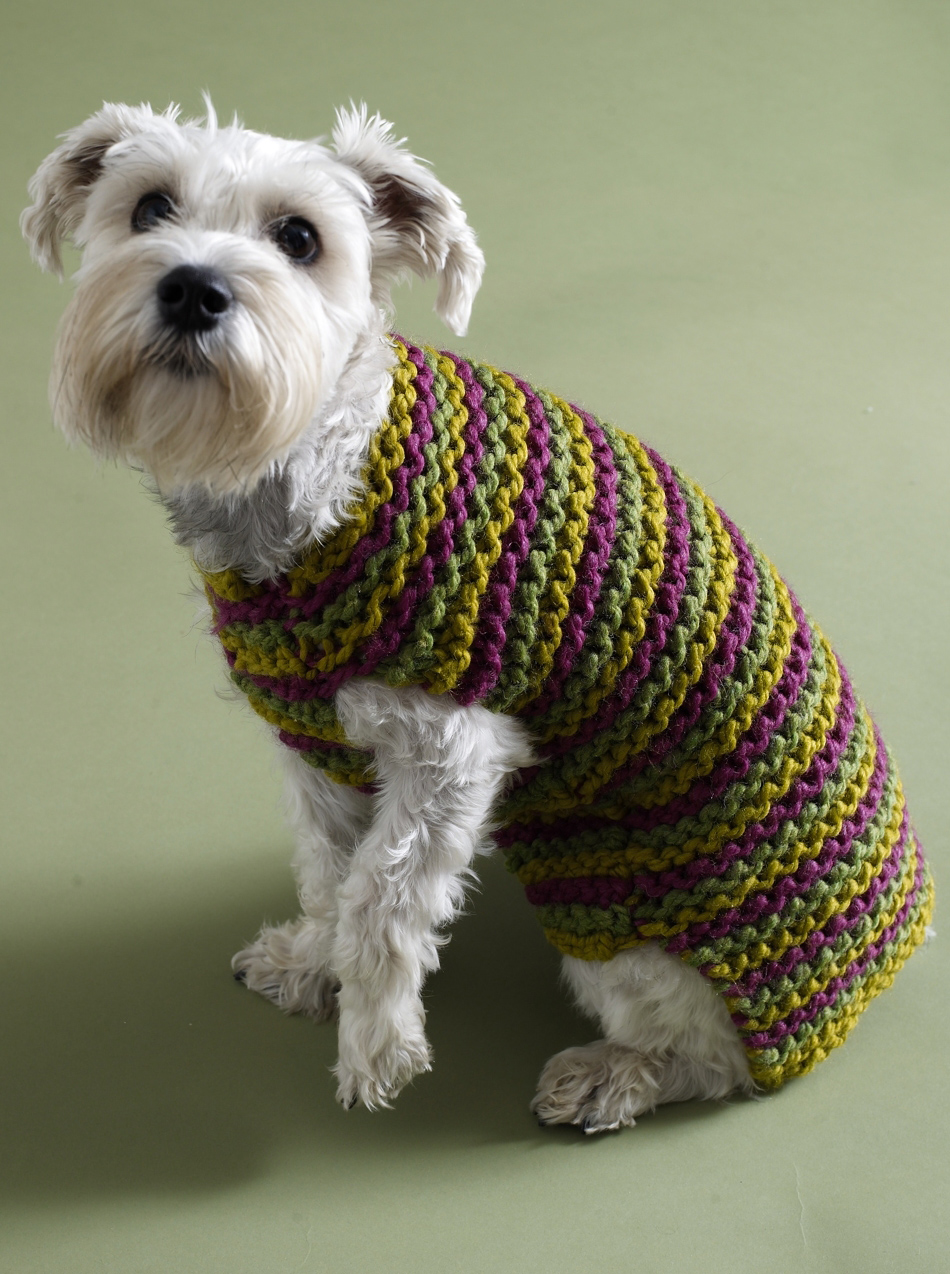 crochet dog coat | http://lomets.com