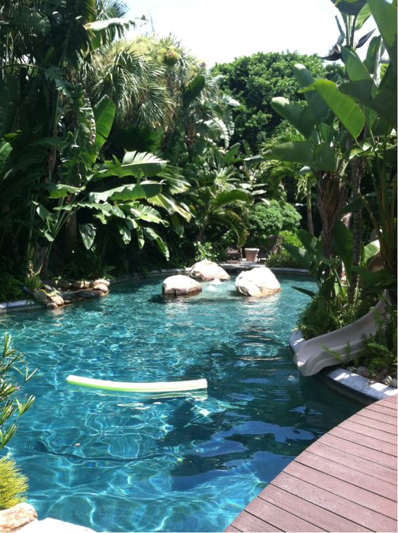 tropical garden around swimming pool | http://lomets.com