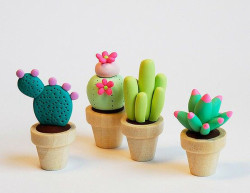 diy-mini-cactus-garden