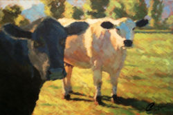 Black-and-White-Cows-Christopher-Clark-fine-artist