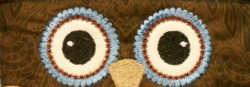 in-the-hoop-owl-eyes