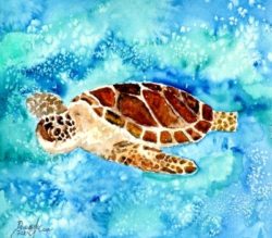 paintings-of-sea-turtles