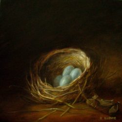8x8 nest robin's nest in shadows with curled oak leaf