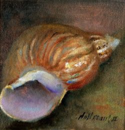 shell_6_x6_oil_on_canvas_by_hall_groat_ii