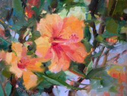 hibiscus___orange_floral_of_hawaii