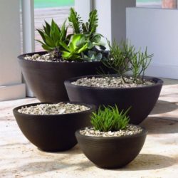large-flower-pots-outdoor-for-succulent-plt-bowl-shape
