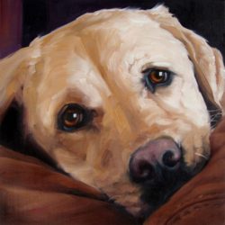 5ae4b3bb2ae64227807d5efa34055fd1--dog-paintings-painting-portraits
