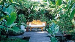 Tropical-garden-design-be-equipped-tropical-flower-bed-ideas-be-equipped-garden-design-ideas-with-hedges-be-equipped-front-yard-garden-design-ideas