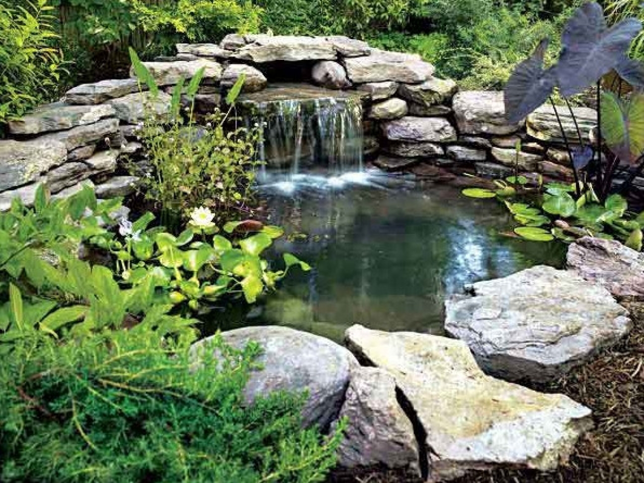 backyard-pond-waterfall-1000-ideas-about-small-garden ...