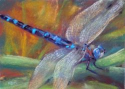 blue_dragonfly_painting