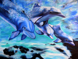 dolphins-art-by-kar