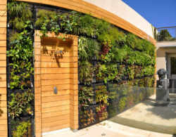 living-plant-wall-living-wall-garden-a7b7f9a671a5a26d
