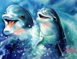 smiling-dolphins
