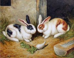 Hand-painte-art-oil-painting-on-canvas-Two-rabbits-No-Frame-Deco-For-Hotel-Home-wall.jpg_640x640