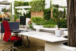 Indoor-Office-Garden-Installation-Ideas-18