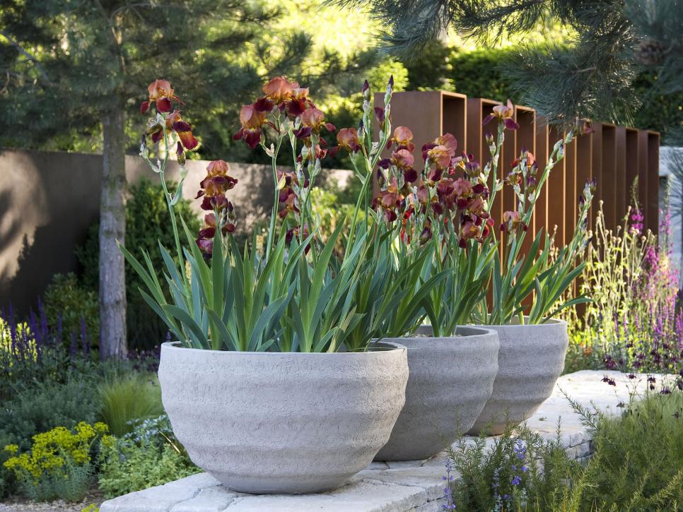 10-ideas-for-using-large-garden-containers-hgtv-container-gardening-ideas
