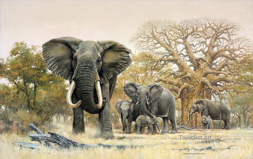 6-elephant-herd-and-baobab-trees