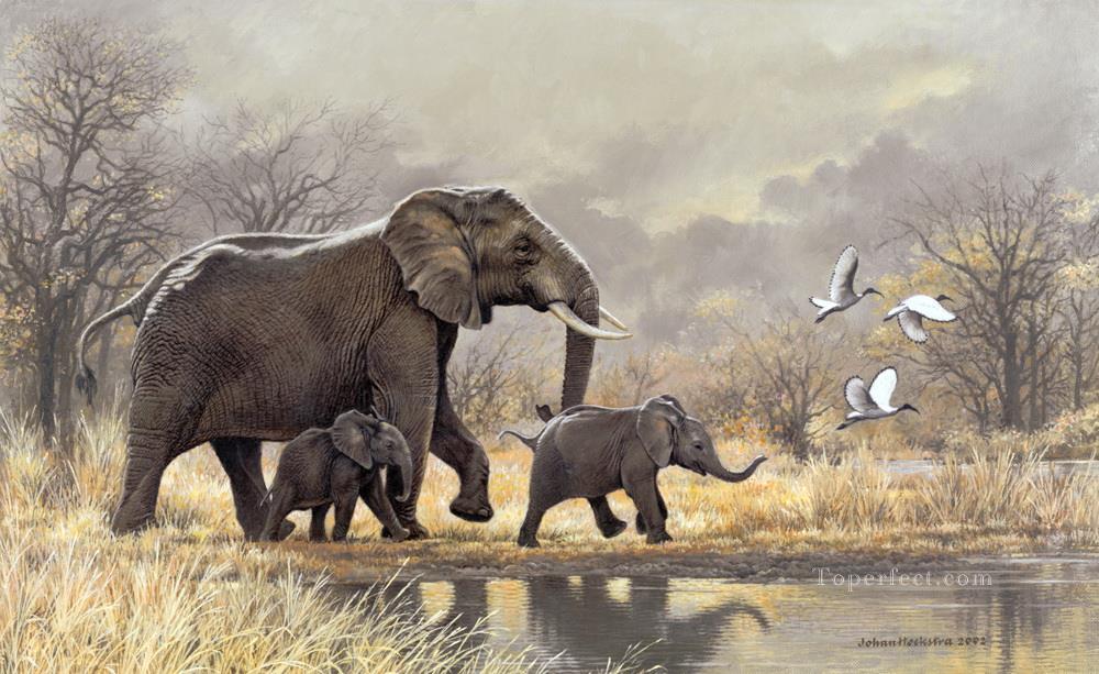 6-elephant-matriarch-and-calves