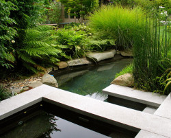 Segmented-garden-pond
