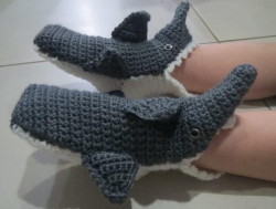 shark-slippers_ExtraLarge900_ID-1138533
