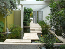Dazzling-Garden-Stepping-Stones-fashion-Miami-Contemporary-Landscape-Remodeling-ideas-with-aquatic-garden-entrance-entry-fountain-garden-gate-garden-wall-geometric-green-walls-papyrus-pavers