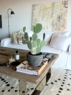 minimalist-cactus-indoor-planters