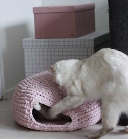 Cats-house-crochet-project