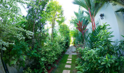 Narrow-side-garden