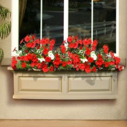 nice-window-garden-container