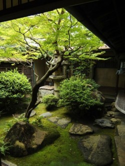 peaceful-japanese-inspired-backyard-gardens-7