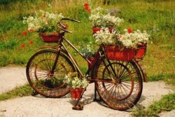 Design_a_Garden_Focal_Point_Dreams_Paid_artistic_bike