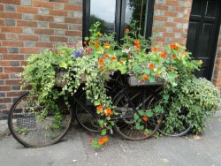 bicycle-container-ideas