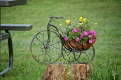 bike-planter