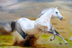 1435948962_Artist_Noe_Largueza_Vicente_Title_Wild_Horse_Medium_Oil_Painting_Dimensions_31.5x47.2in_Year_2014