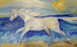 abstract white horse on beach