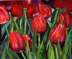 Red tulips sm move