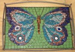 butterfly tray2cropped