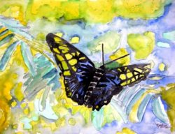 butterfly_painting