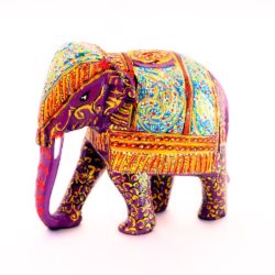 elephant-yanai