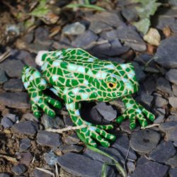 larry-and-harry-the-ornamental-mosaic-frogs