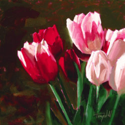 web-awakening-tulips-ctlw