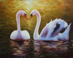 60-90cm-realist-style-100-hand-painted-swan-canvas-oil-painting-out-of-professional-artists-perfect