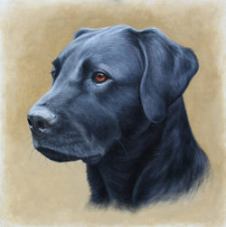 Black-Labrador-Oil-Painting