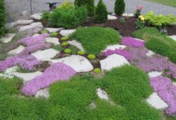 Remarkable-Back-Garden-Design-with-White-Rock-Garden-Ideas-Placed-Perfectly-with-Colorful-Grasses