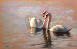 Swans-1mb-for-web