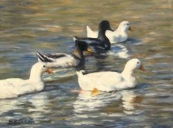 cold_water_ducks_oil_painting_wildlife_birds_pond__2081ec46eef6e3bb9cd0435924e0c89c