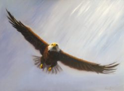 soaring-eagle-greg-neal
