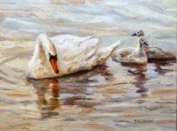 swan_family_oil_painting_bird_portrait_wildlife_ar_birds__animals__a13c94ae1e561aab33aa3d2fea9d3c74
